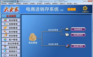 金薇大卖家电商进销存软件V30免费版 零售管理的得力助手